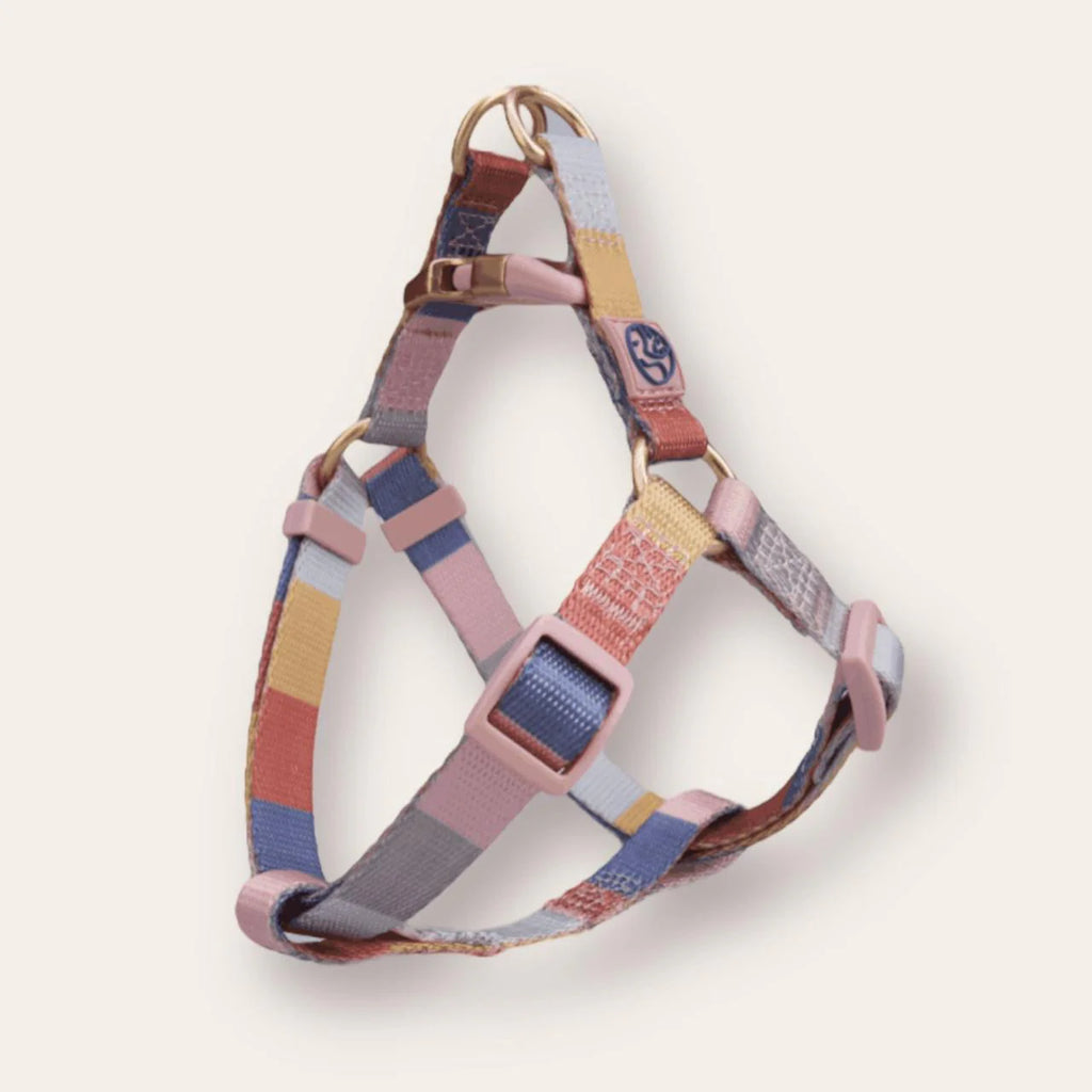 ARNES BARRAS DE COLORES