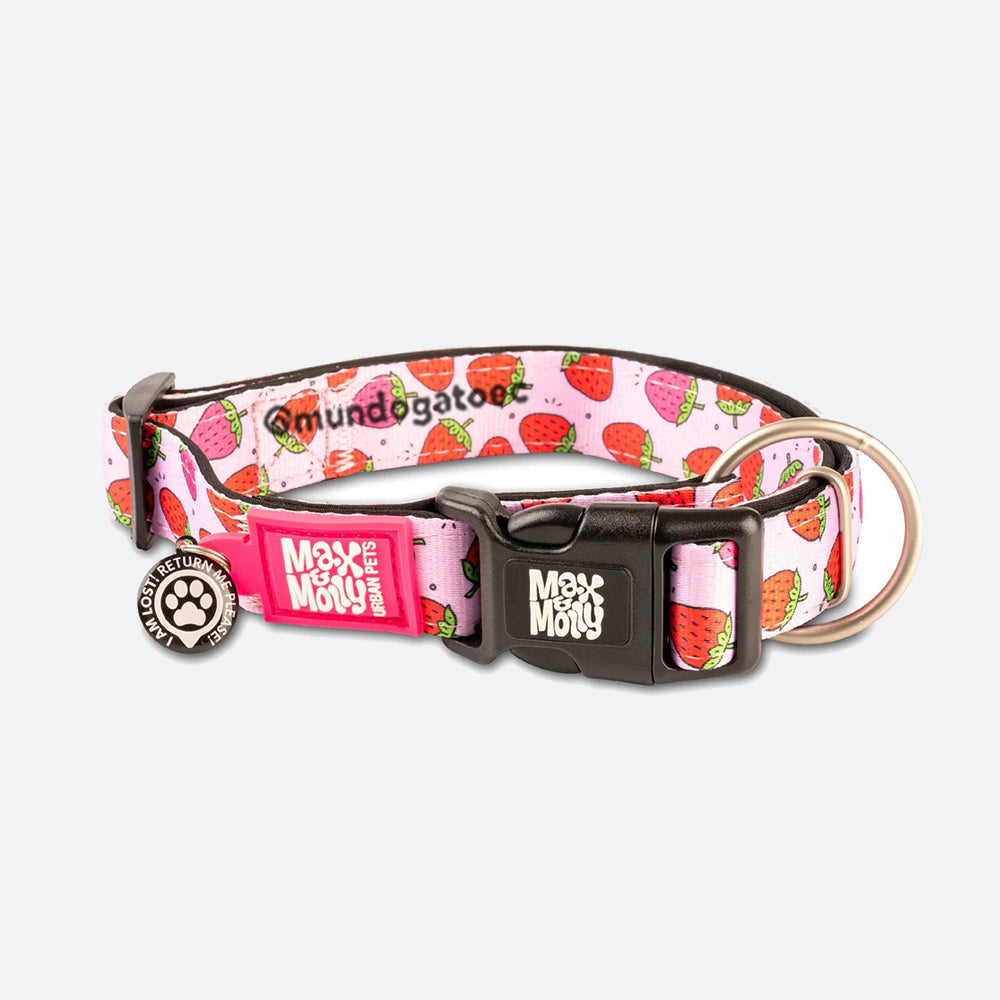 COLLARES MAX Y MOLLY