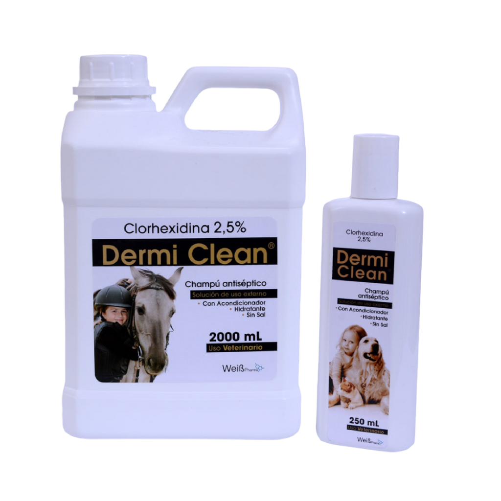DERMI CLEAN 2000 ML
