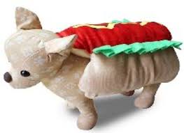 DISFRAZ PERRO CALIENTE