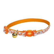 COLLARES GATO COASTAL