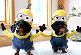 DISFRAZ MINIONS