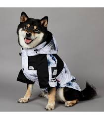 CHAQUETA IMPERMEABLE DOGFACE