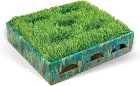 CATSTAGES GATO MINDGAMES GRASS