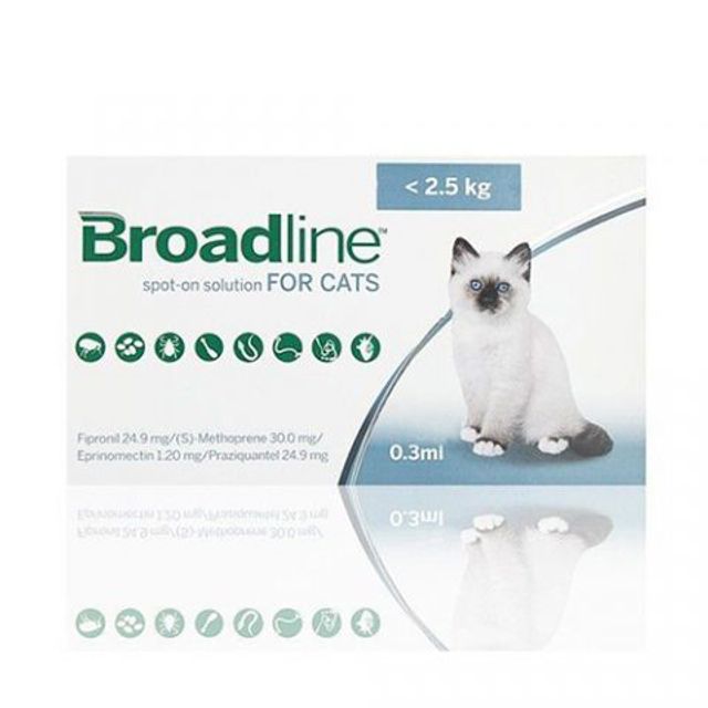 BROADLINE CAT SMALL 1 SYR (0,6-2,5 kg)