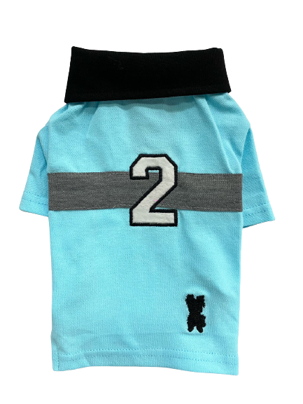 POLO AZUL #2