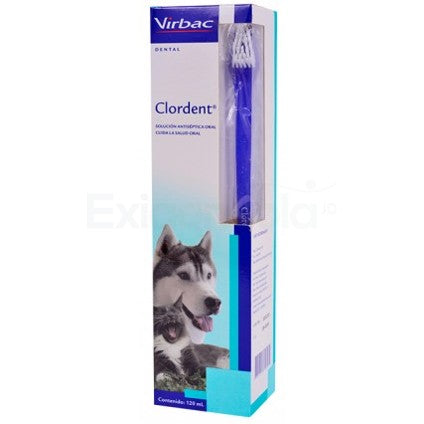 CLORDENT  SOLUCION ORAL